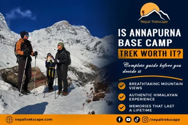 Trekkers of Nepal Trekscape enjoying a snowy Himalayan landscape with Annapurna range views during the Annapurna Base Camp Trek.