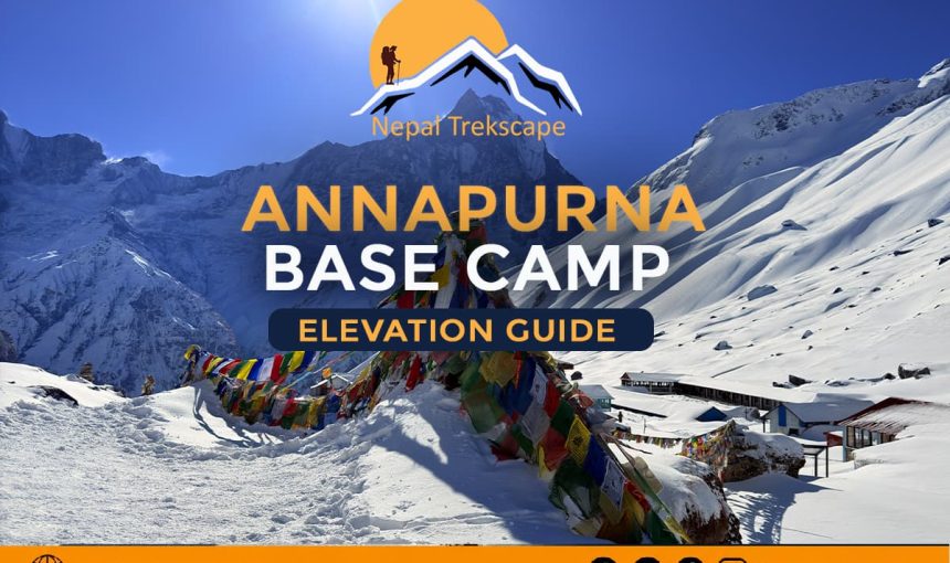 Annapurna Base Camp Trek Elevation Guide (2026): Altitude Gain