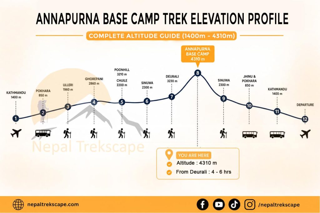 Annapurna Base Camp Trek elevation profile showing the altitude of major villages and trekking settlements from Kathmandu to Annapurna Base Camp (4,310 m)