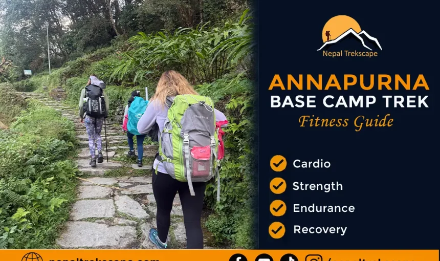 Annapurna Base Camp Trek Training plan: A Complete Fitness Guide